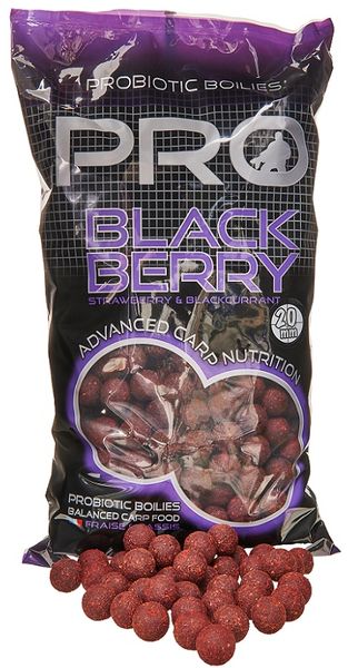 Starbaits Boilies Probiotic Blackberry 2,5kg
